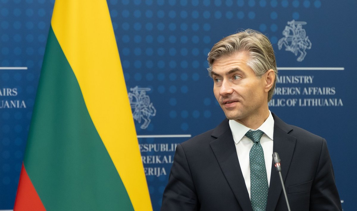  Глава МЗС Литви про інцидент із дроном: східний фланг необхідно зміцнювати 