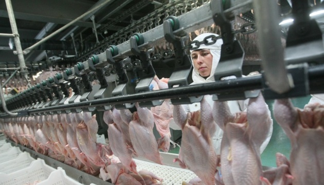  Україна за вісім місяців збільшила експорт м’яса птиці на 12,5% 