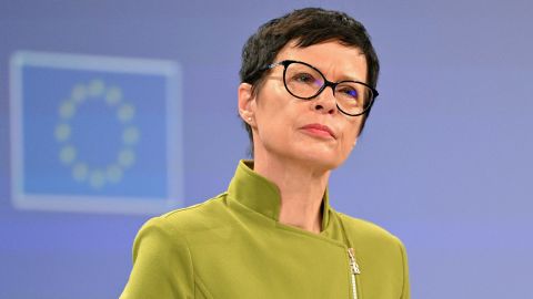  Кос очікує "нового поштовху" у питанні вступу України до ЄС після угорських виборів 