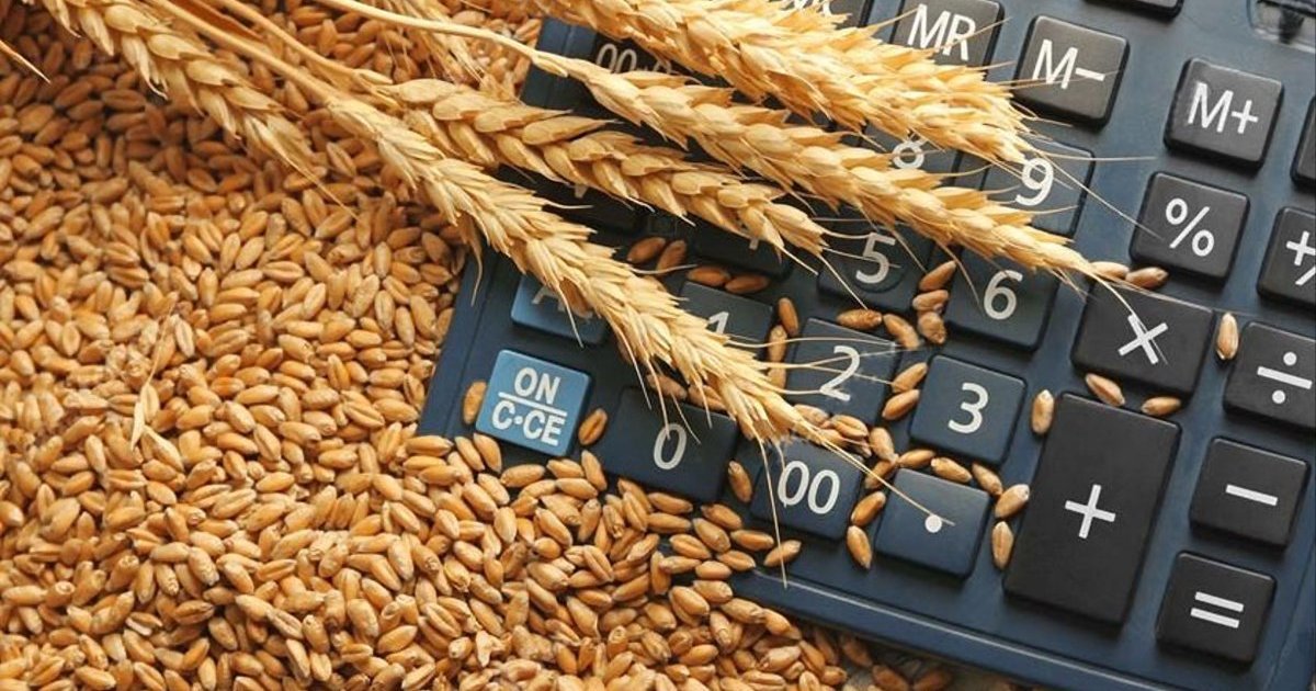  Україна з початку маркетингового року експортувала понад 14 мільйонів тонн зерна 