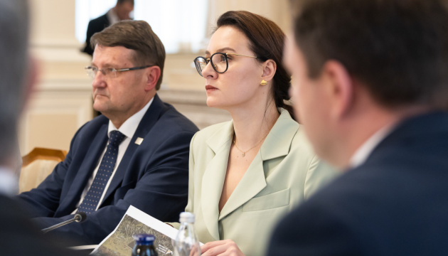  Свириденко закликає Міжнародний трастовий фонд фінансувати закупівлю української техніки для розмінування 