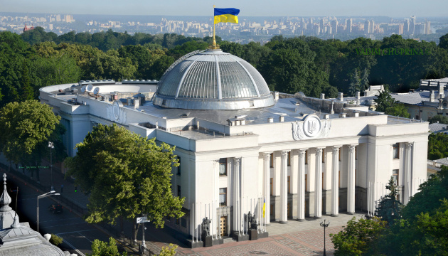  Рада підтримала заборону використання пальмової олії у харчових продуктах 