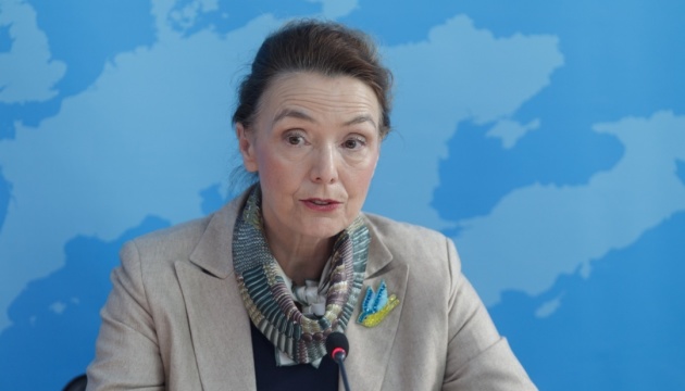  У Раді Європи засудили російські обстріли енергооб’єктів України 