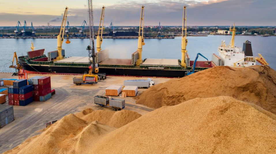  За перші шість місяців 2024 року через Одеські порти експортували 46 мільйонів тонн товарів 