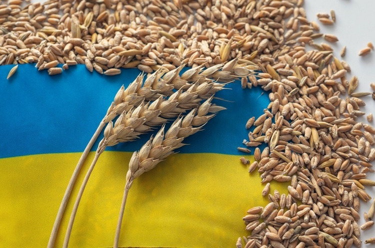  Україна продовжить постачати зерно іншим країнам, попри вихід РФ із "зернової угоди" – СтратКом ЗСУ 