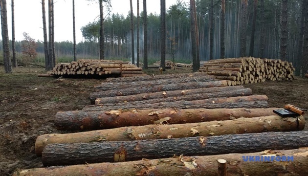  «Ліси України» у першому півріччі отримали 1,6 мільярда чистого прибутку 