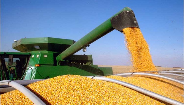  USDA покращило прогноз урожаю та експорту української пшениці і кукурудзи 