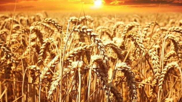  Польща вимагає від ЄС заборонити імпорт російської сільгосппродукції 