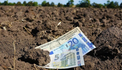 Дороже польской: в МинАПК озвучили цену за гектар в Украине после открытия рынка земли