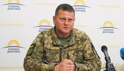 Вступление Украины в НАТО полностью зависит от Альянса – Залужный