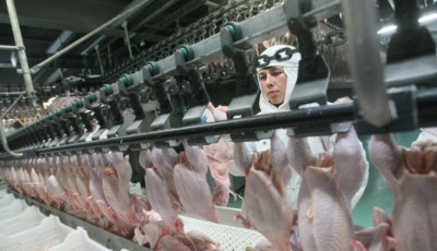Україна за вісім місяців збільшила експорт м’яса птиці на 12,5%