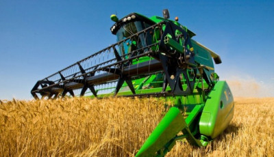 У 2020-му Україна буде з хлібом. Незважаючи на посуху