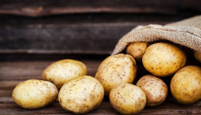 В Україні фермери знижують оптові ціни на картоплю - EastFruit
