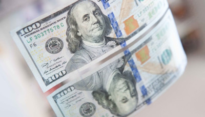 Валютна виручка від експорту продуктів переробки олійних зросла майже вдвічі - депутат