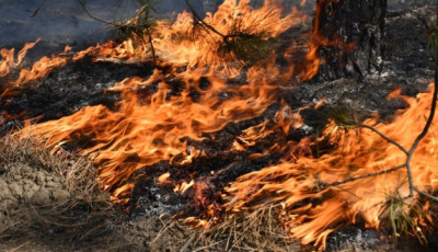 Греція запустила перші супутники для моніторингу лісових пожеж