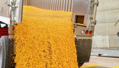Експорт української агропродукції за дев'ять місяців сягнув 48,9 мільйона тонн