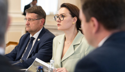 Свириденко закликає Міжнародний трастовий фонд фінансувати закупівлю української техніки для розмінування