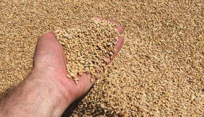 Торгівля агропродукцією між Україною та ЄС зросла до $8,55 млрд за пів року