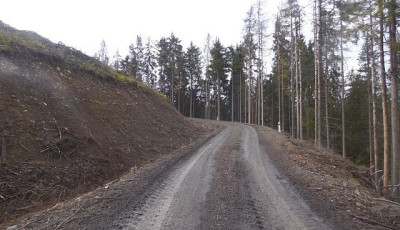 В Україні з'явиться Атлас лісових автомобільних доріг – голова Держлісагентства