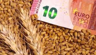 Україна цьогоріч експортувала понад 18 мільйонів тонн зернових