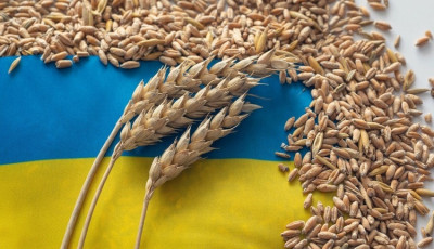 Україна продовжить постачати зерно іншим країнам, попри вихід РФ із 