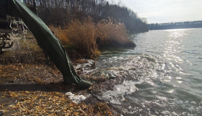 До водойм у чотирьох регіонах вселили понад 140 000 рибин
